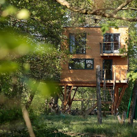 Domek Na Drzewie W Dolinie Uradu Exterior photo